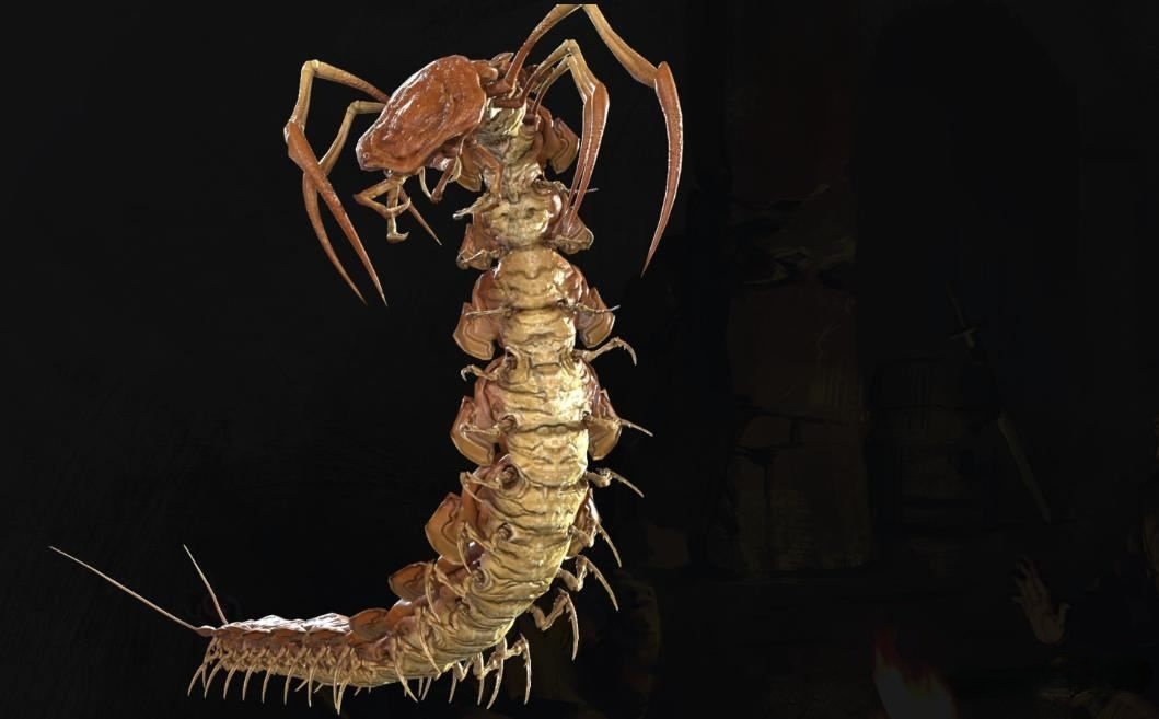 Dark and Darker: Giant Centipede Skills, Attacks, and Farming Guide